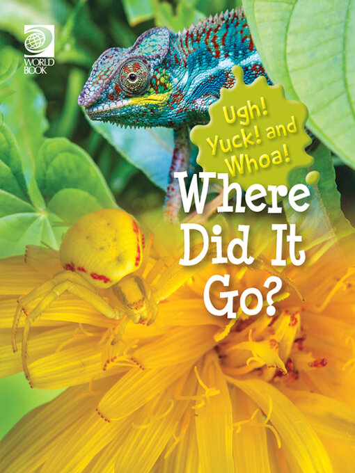 Cover image for Where Did It Go?